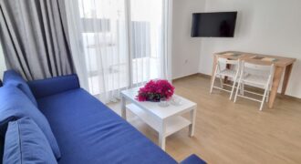 Limon apartment: Cozzy flat with garden in center