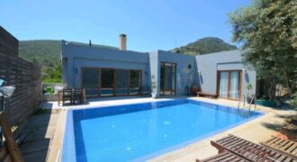 Villa Toro- one floor villa with pool in nature